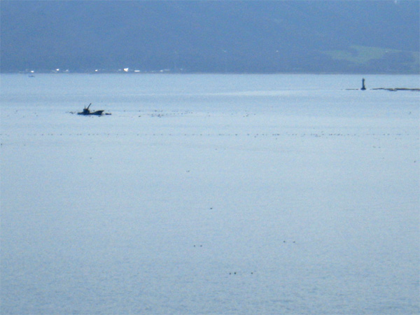 ��̓��@���s�p