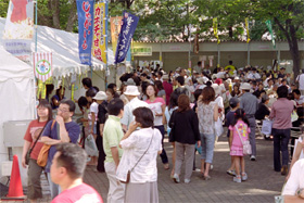 OLYMPUS 35 ECR Fuji S-100