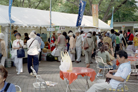 CONTAX T2 Fuji S-100