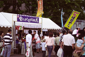 CONTAX TVS Fuji S-400